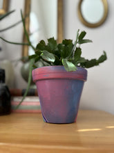 Load image into Gallery viewer, Gary - 5" Pot Head