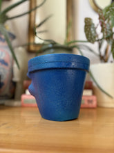 Load image into Gallery viewer, Penelope - 5" Pot Head