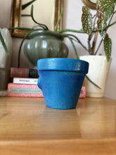 Load image into Gallery viewer, Eddie - 4" Pot Head