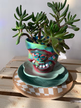 Load image into Gallery viewer, 4" Wide Flower Shaped Plant Tray