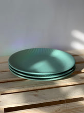 Load image into Gallery viewer, 7.75" Wide Plant Tray