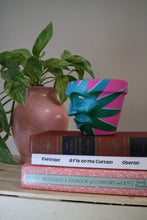 Load image into Gallery viewer, Zora Aurora - 4" Pot Head